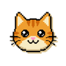 CatchCat