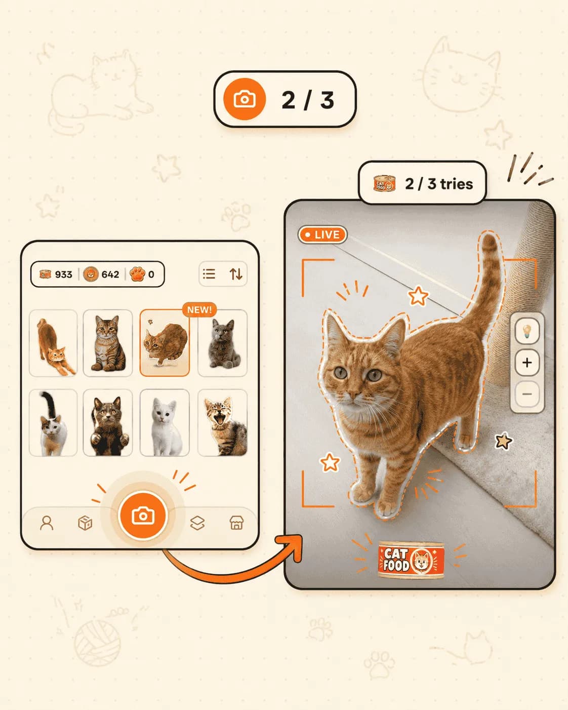 CatchCat live camera with real-time cat detection overlays.